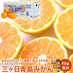 �y�É����Y�z���O�����݂��� ��M ��L 4kg 8kg ��2L ��3L 3.5kg 7kg�@�������� �O�������݂���@���݂��� �O�����@���݂���y���������z�y4kg 8kg 3.5kg 7kg�z��������