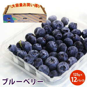 �y�`���Y �A�����J�Y�z���u���[�x���[ 125g 3�p�b�N 6�p�b�N 12�p�b�N �t���[�c �x���[ �A���g�V�A�j�� �}���K�� �r�^�~��E �H���@�� ���� ��e�� �������� ��������