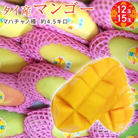 【タイ産】マンゴー　マハチャノ種　約4.5キロ　12玉〜15玉　クール便送料無料　甘い　トロピカルフルーツ　御歳暮　お歳暮　お供え　お見舞い　内祝　ギフト　贈り物　プレゼント　グルメ