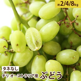 グリーンシードレス ぶどう タネなし 【オーストラリア産】 2kg 4kg 8kgフルーツ ギフト 葡萄 ブドウ 皮のまま食べられる送料無料