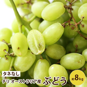 O[V[hX Ԃǂ ^lȂ yAJYz 2kg 4kg 8kgt[c Mtg  uhE ̂܂ܐHׂ鑗