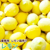 【チリ産】業務用レモン箱売り 中玉 17キロ 140玉 小玉 165玉 大玉 95玉 115玉送料無料 ギフト 果物 フル…