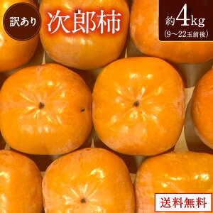 yÉYz󂠂莟Y`(ÉlkY) Ynp@EʃTCY 4kg i9`22ʑOj 󂠂i ` ʕ t[c Mtg v[g Ɨp Ɨp