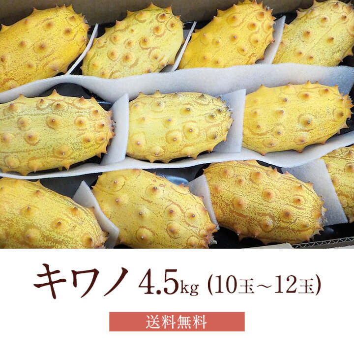 楽天市場】【10月中旬より順次発送】 キワノ 約4.5k 10玉～12玉  