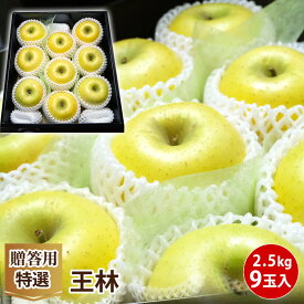 【長野県　青森県産】高糖度　青りんご 約2.5kg 9個送料無料 りんご フルーツ 国産 特選 贈答用 お歳暮 プレゼント ギフト【送料無料】【約2.5kg】【9個】