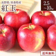 紅玉　2.5キロ(約10玉～13玉入) 5キロ(約20玉～25玉入) 10キロ(約40玉～50玉入)　 山形県 青森県　長野県…