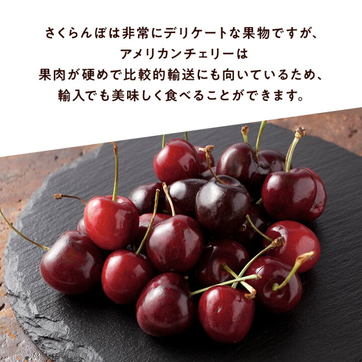楽天市場】もうすぐシーズン終了【アメリカ産】超大粒アメリカン 