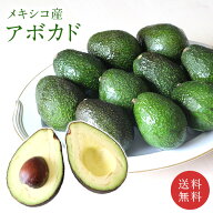 【ペルー産メキシコ産】 アボカド 1個150g 6個 12個 30個 送料無料 アボカド 果物 フルーツ ギフト 贈り…