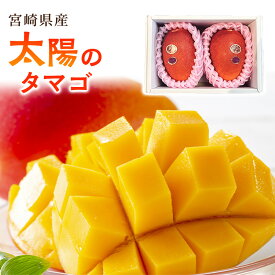 【宮崎県産】完熟マンゴー 「太陽のタマゴ」 送料無料 樹上完熟 ギフト プレゼント 母の日 父の日 マンゴー 美味しい 箱売り 贈答 贈り物 おうち用 化粧箱入り