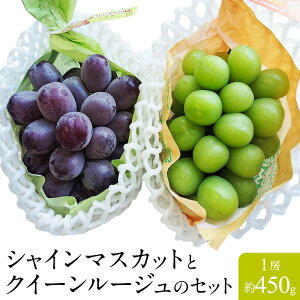 y쌧YzVC}XJbgƃNC[[W̃Zbg e450g Ԃǂ  t[c Mtg v[g i  ̂Ή  p ƒp lC Ԃǂ 