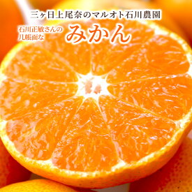 【11月下旬より入荷次第順次発送】三ヶ日早生みかん 秀L 秀M 秀S 5kg 10kg 訳あり みかん 静岡県産 ミカン 蜜柑 石川農園 フルーツ 自宅用 送料無料