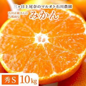 y11{׎揇zO݂ GL GM GS 5kg 10kg 󂠂 ݂ ÉY ~J  ΐ_ t[c p 