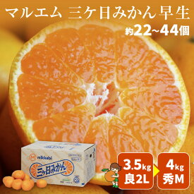 人気の容量をまとめました♪【11月中旬より入荷次第発送】早生三ヶ日みかん 秀M 4kg 約36個 秀S 4kg 約44個 優M 4kg 約36個 優S 4kg 約44個 良2L 3.5kg 約22個 良M　4kg　約36個 良S 4kg 約44個送料無料