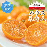 夏季限定 訳あり【静岡県産】ハウスみかん 数量限定 2kg 3kg 4kg サイズ混合 みかん 浜松産ハウスみかん …