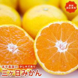 【11月下旬より販売】三ヶ日 送料無料 高平農園 三ヶ日で育った高平の子訳あり小粒みかん みかん 2kg 4kg 8kg三ヶ日　高平農園 みかん ミカン 蜜柑 お歳暮 ギフト 送料無料 甘い 直売 糖度 お取り寄せ