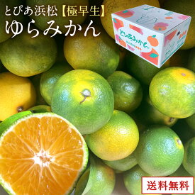 【静岡県産】入荷スタート JAとぴあ浜松ゆらみかん【極早生】2kg 3kg 4kg 10kgとぴあ みかん ゆらみかん ゆら早生みかん 美味しい プレゼント ギフト 送料無料