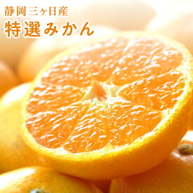 【11月中旬頃より入荷次第順次発送】静岡三ヶ日産特選みかん　小玉　 1kg 2kg 4kg 8kg　みかん 静岡県産 ミカン 蜜柑 フルーツ 自宅用 送料無料