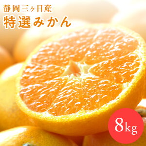 y11{׎揇zÉOYI݂@ʁ@ 1kg 2kg 4kg 8kg@݂ ÉY ~J  t[c p 