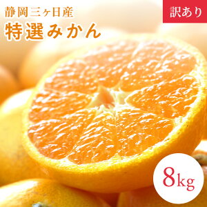 y󂠂zOI݂ 1kg 2kg 4kg 8kg@݂ ÉY ~J  t[c p 