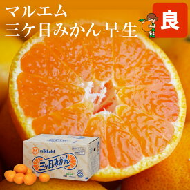 【11月中旬頃入荷発送】早生三ヶ日みかん 良S M L 2L 4kg 7kg 8kg 送料無料 三ヶ日 みかんお歳暮に！三ケ日みかん 早生みかん JA三ケ日みかんみかん ミカン 蜜柑 お歳暮 ギフト 送料無料 甘い 直売 糖度 お取り寄せ mikann 静岡 産地