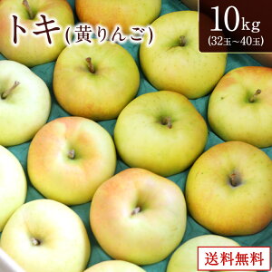 10{Ԍ yXYz 2.5kg 5kg 10kg S  ь  { ʕ  퉷