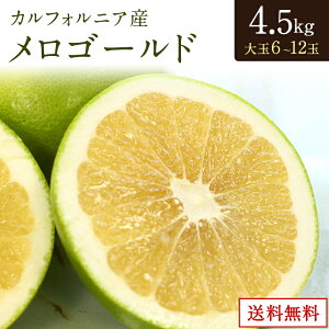 yJtHjAYzS[h 4.5L 6ʁ`12 IuR zCgO[v |킹  Mtg ʕ t[c