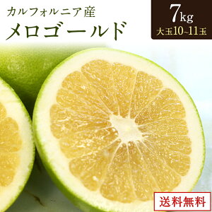 yJtHjAYzS[h 7L 10ʁ`11 IuR zCgO[v |킹  Mtg ʕ t[c