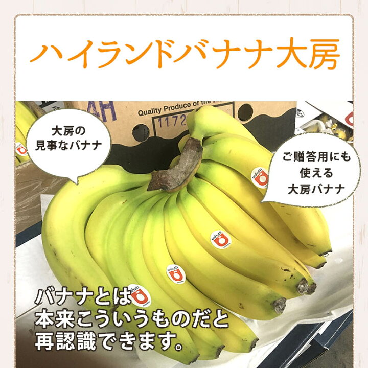 楽天市場 フィリピン産 ハイランドバナナ大房1個 バナナ 贈答用 業務用 ばなな ハイランド高地栽培 大房 はまべじ
