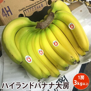 バナナ ギフトの人気商品 通販 価格比較 価格 Com バナナ ギフトの人気商品 通販 価格比較 価格 Com
