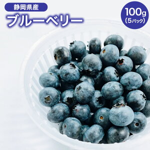 ブルーベリー 100gの人気商品 通販 価格比較 価格 Com ブルーベリー 100gの人気商品 通販 価格比較 価格 Com