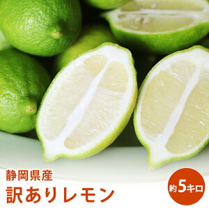 ÉY 󂠂  1L`10L@󂠂 Mtg ʕ t[c