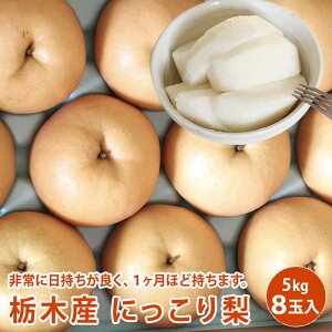 y10{菇zȖ؎Y ɂ藜@Gi 5kg 8ʓ  Mtg ʕ t[c h{Lx