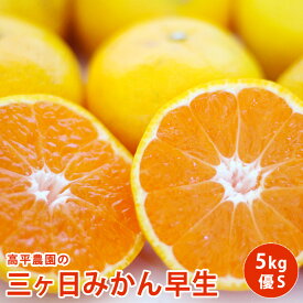 【11月下旬より販売】【三ヶ日産】優S 4キロみかん　送料無料 高平農園 三ヶ日で育った高平の子三ヶ日　高平農園みかん ミカン 蜜柑 お歳暮 ギフト 送料無料 甘い 直売 糖度 お取り寄せ mikann 静岡 産地