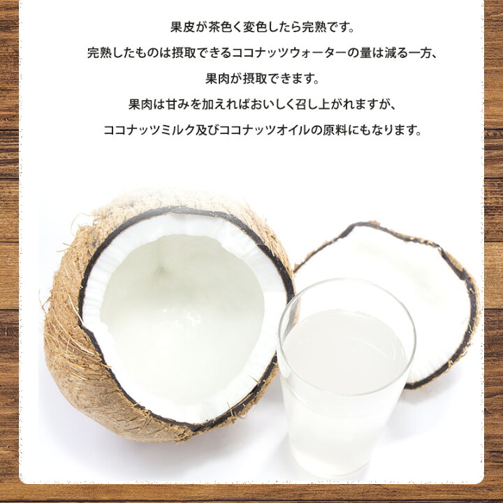 楽天市場 フィリピン産 ゴールデンヤシの実 5玉入 約13キロヤシの実 ココナッツ ココナッツミルク ココナッツオイル 美容 健康 フルーツ 送料無料 はまべじ