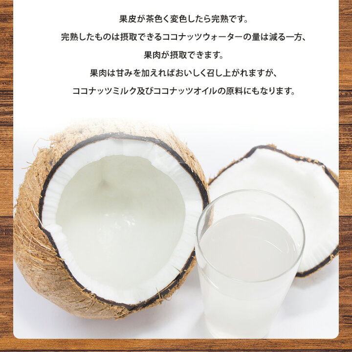 楽天市場 フィリピン産 レギュラーヤシの実 5玉入 約13キロヤシの実 ココナッツ ココナッツミルク ココナッツオイル 美容 健康 フルーツ 送料無料 はまべじ 楽天市場 フィリピン産 レギュラーヤシの実 5玉入 約13キロヤシの実 ココナッツ ココナッツミルク ココナッツオイル 美容 健康 フルーツ 送料無料 はまべじ