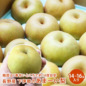 Y ɓ߂̂܁[ 5kg 14`16ʓ藜  Mtg ʕ t[c h{Lx