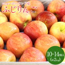 【ニュージーランド産】ふじりんご 約2kg 10個～14個 りんご リンゴ 林檎 フルーツ プレゼント ギフト【送料無料】