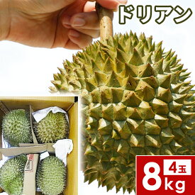 ドリアン 8kg 4玉 　果物の王様 dorian pine 甘い 果物 フルーツ【　ベトナム産】送料無料