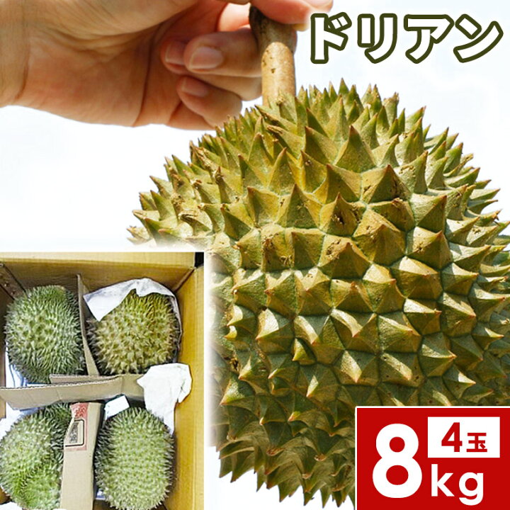 楽天市場】ドリアン 8kg 4玉 果物の王様 dorian pine 甘い 果物 