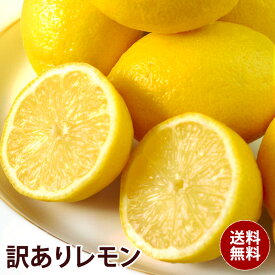 【アメリカ産】訳あり レモン 2kg 3kg 4kg 大特価 送料無料　訳あり ギフト 果物 フルーツ