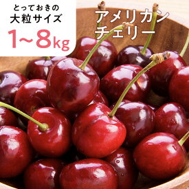 【2025】【アメリカ産】超大粒アメリカンチェリー 9.5Rサイズ 1キロ 2キロ 4キロ 8キロ　特大チェリー 送料無料 クール便 【ピング種 コーラル種 レジーナ種他】 ギフト お中元 贈答 フルーツギフト 航空便 あまい うまい 新鮮