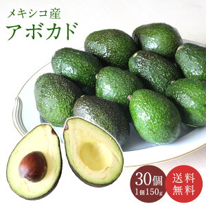 yy[YLVRYz A{Jh 1150g 6 12 30  A{Jh ʕ t[c Mtg 蕨 i 