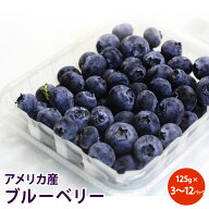 【メキシコ産】生ブルーベリー 125g 3パック 6パック 12パック フルーツ ベリー アントシアニン マンガン…