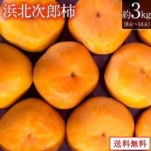 【11月中旬より入荷次第順次発送】【静岡産】浜北次郎柿 静岡県産 約3kg (8個~14個) 柿 果物 フルーツ ギフト プレゼント 送料無料 贈答用 お家用