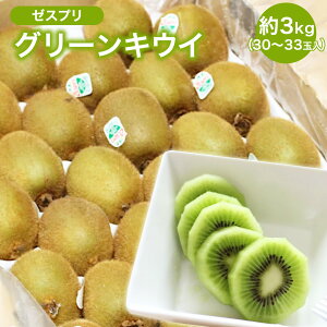 yj[W[hYz[XvO[LEC30`33ʋʔ O[LEC wC[h Â  33 @ LEC [Xv j[W[h