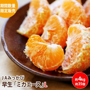 12月中旬より入荷次第順次発送【静岡県産】早生ミカエース  L約35個入り 等階級:L 4kg みかん ミカン 送料無料 12月上旬〜12月中旬までの限定販売みかん ミカン 蜜柑 お歳暮 ギフト 送料