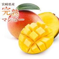 【宮崎県産】完熟マンゴー お中元 青秀品 350g以上 450g以上 500g以上 送料無料 樹上完熟 夏ギフト ギフ…