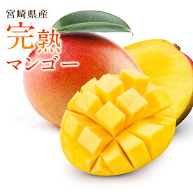 【宮崎県産】完熟マンゴー お中元 青秀品 350g以上 450g以上 500g以上 送料無料 樹上完熟 ギフト プレゼント 母の日 父の日 マンゴー アップルマンゴー アーウィン種 美味しい 箱売り 贈答 贈り物 おうち用 化粧箱入り