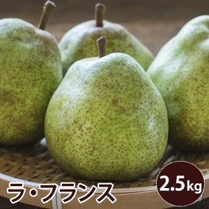 11{菇@tX@쌧Y@R`Y@2.5Li5ʂ7ʁj