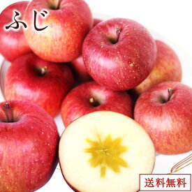 【青森県産】 ふじ 2.5kg 5kg 10kgりんご ギフト プレゼント 母の日 父の日 林檎 大玉 美味しい 店長厳選 店長シリーズ 箱売り 贈答 贈り物 おうち用 ご褒美 シャキ クリスピー 新鮮 鮮度 無袋 紅 まとめ買い 綺麗
